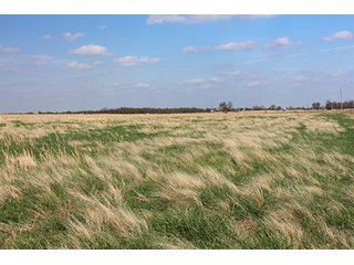 Tract 8 - LAND & MINERAL ACRES OKLAHOMA AUCTION, 588+/- Land & Producing Mineral Acres offered in 24 Tracts in Okmulgee County